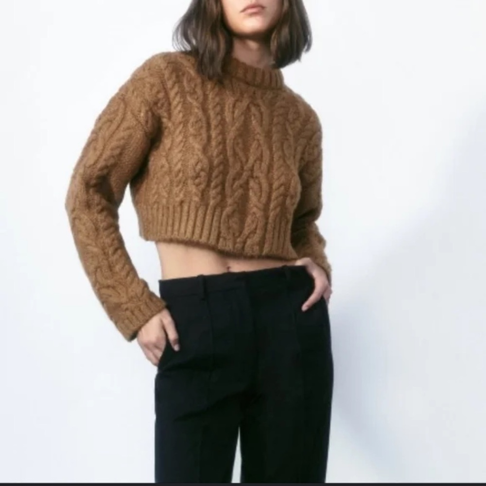 Cable Knit Cropped Sweater - Brown - image 1